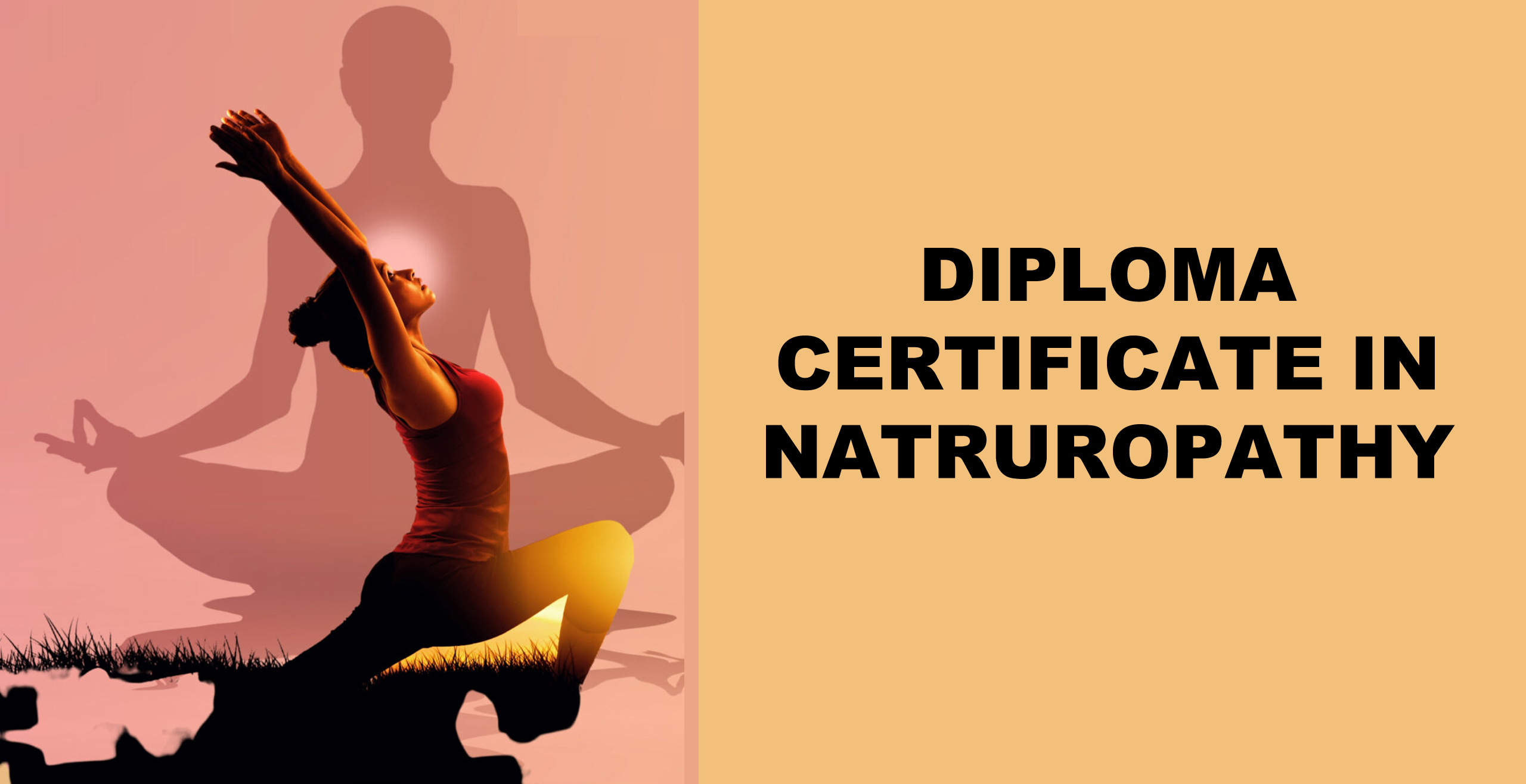 DIPLOMA CERTIFICATE IN NATUROPATHY
